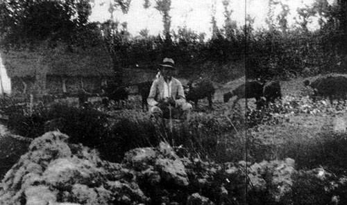 Fotografía de Miguel Hernández como pastor de cabras en la huerta oriolana - photo 8
