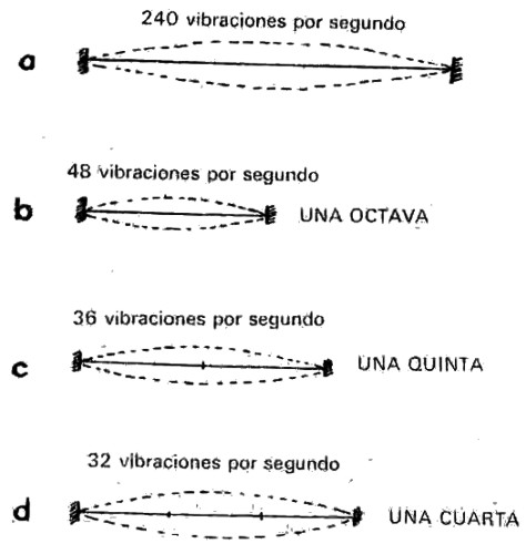 Figura 11 Ley pitagórica de las cuerdas Pitágoras intentó dar un paso más al - photo 1