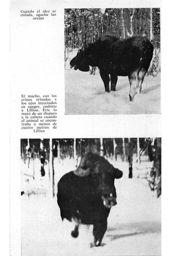 Título original Three against the wilderness Eric Collier 1959 Traducción An - photo 7