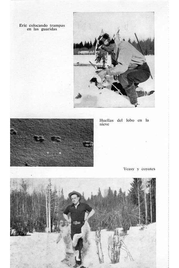 Título original Three against the wilderness Eric Collier 1959 Traducción - photo 8