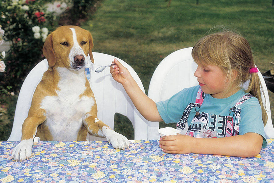 Un animal debe comer en sus propios recipientes Es importante para su - photo 2