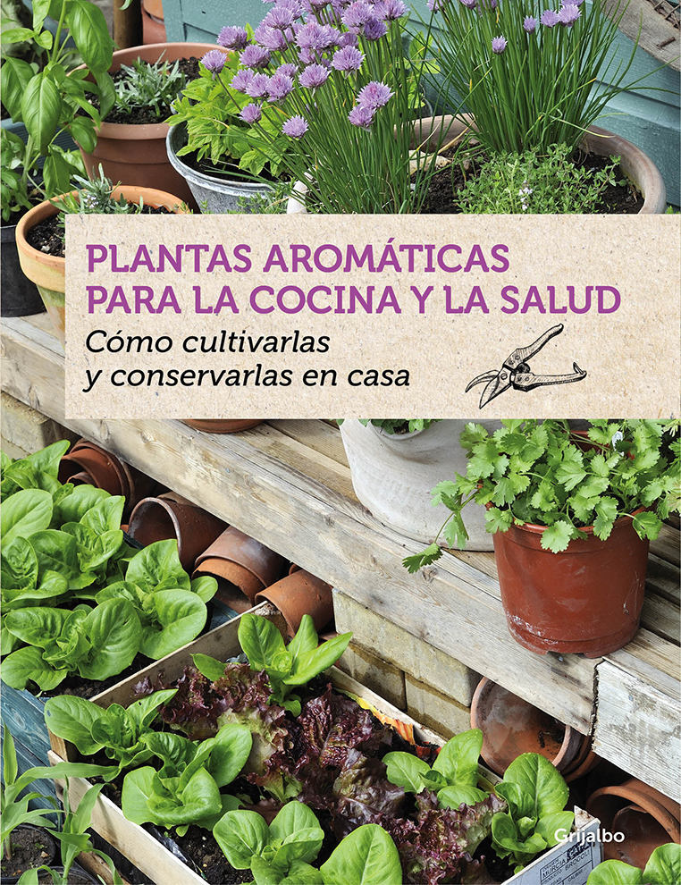 Plantas aromáticas para la cocina y la salud cómo cultivarlas y conservarlas en casa - image 2