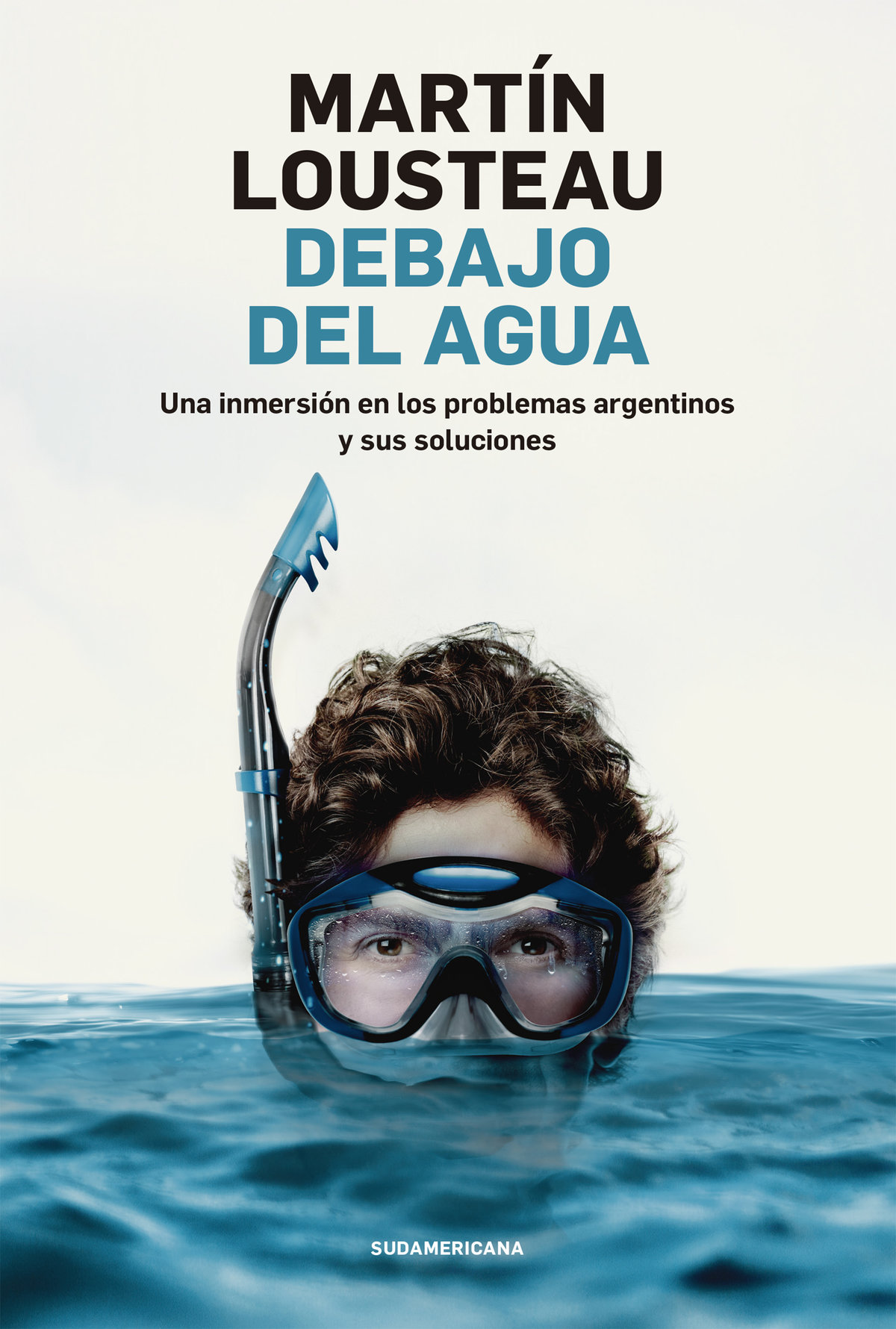 Debajo del agua Una inmersión en los problemas argentinos y sus soluciones - image 1