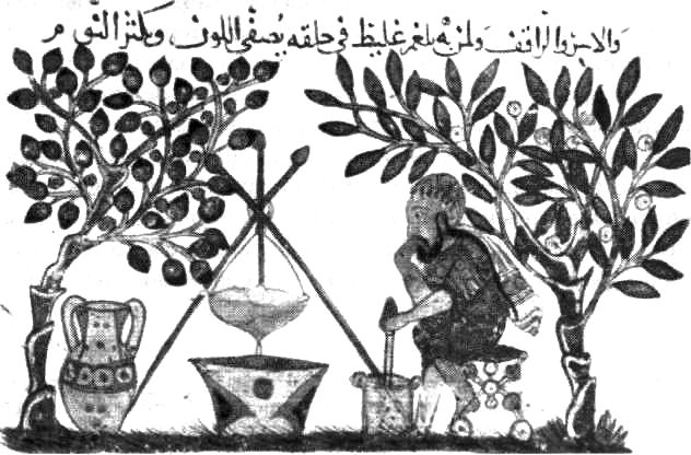 Herborista ensayando una extracción de plantas medicinales en la traducción al - photo 3