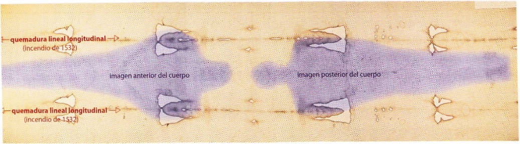 Imágenes anterior y posterior del cuerpo en la Sábana Santa Asimismo se - photo 7