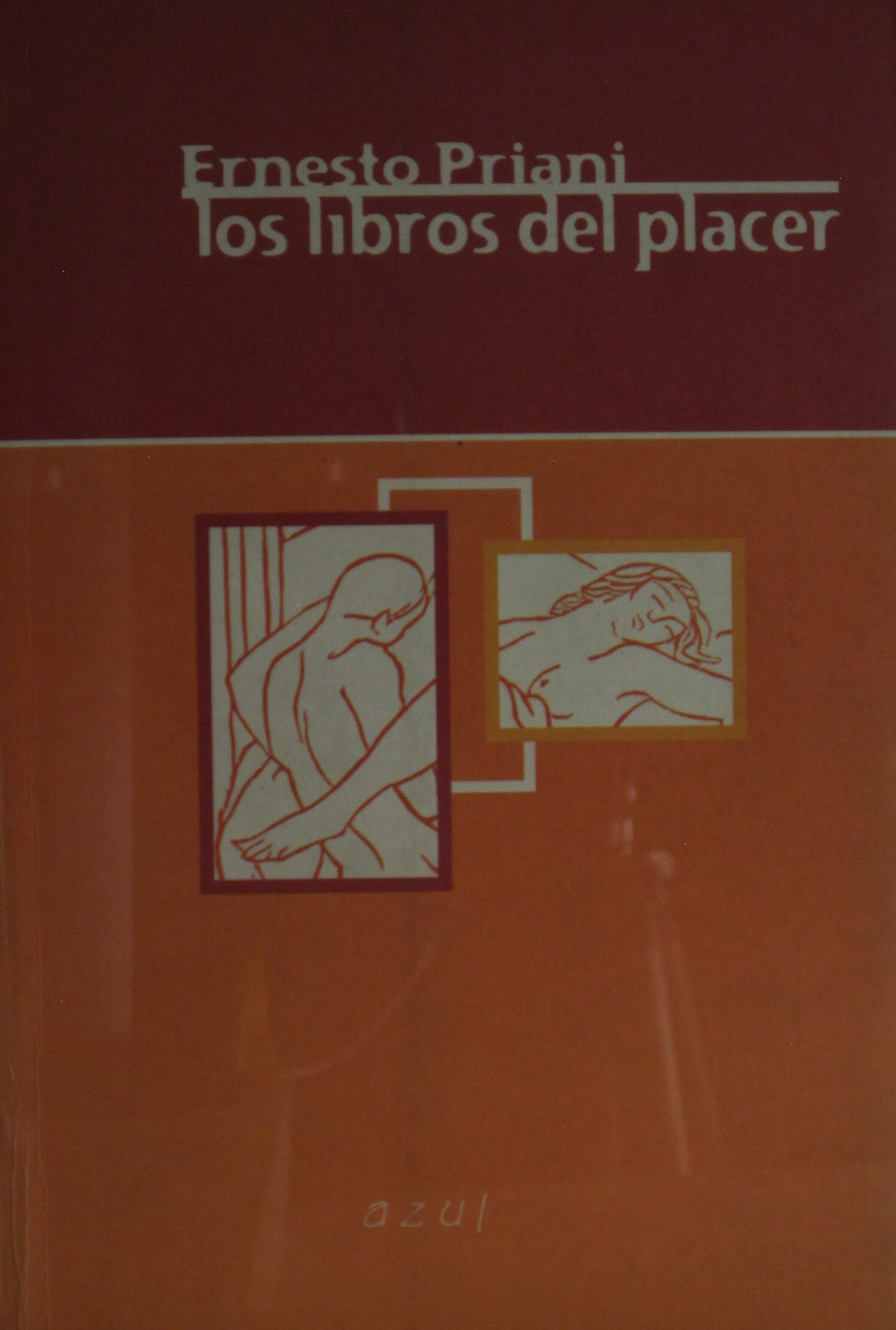 Los libros del placer Ernesto Priani Saisó Los libros del placer Azul - photo 1