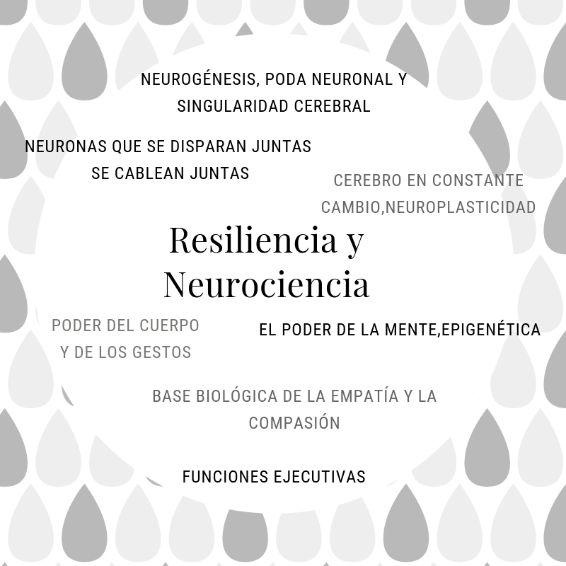 La trayectoria investigadora neurocientífica en conexión con la resiliencia El - photo 1