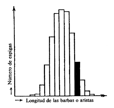F IGURA 1 Gráfico estadístico de la longitud de las barbas de las espigas de - photo 1