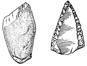 Fig 1 Después súbita e inexplicablemente hace unos 35 000 años una nueva - photo 2
