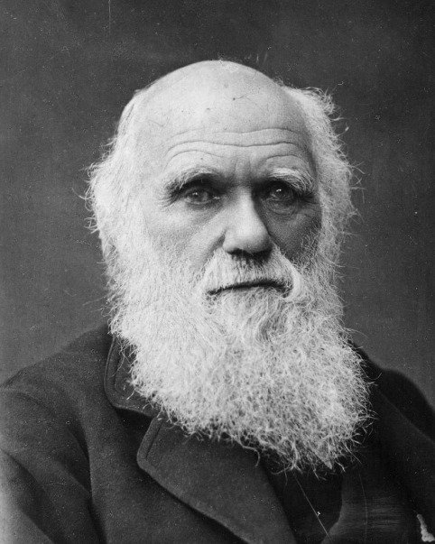 CHARLES ROBERT DARWIN 12 de febrero de 1809 19 de abril de 1882 fue un - photo 1