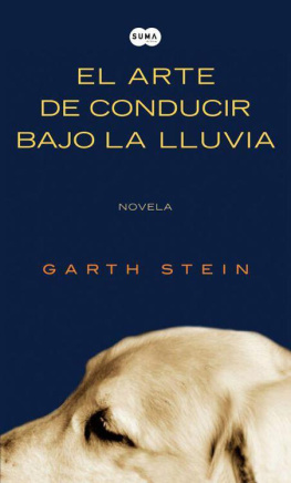 Garth Stein - El arte de conducir bajo la lluvia