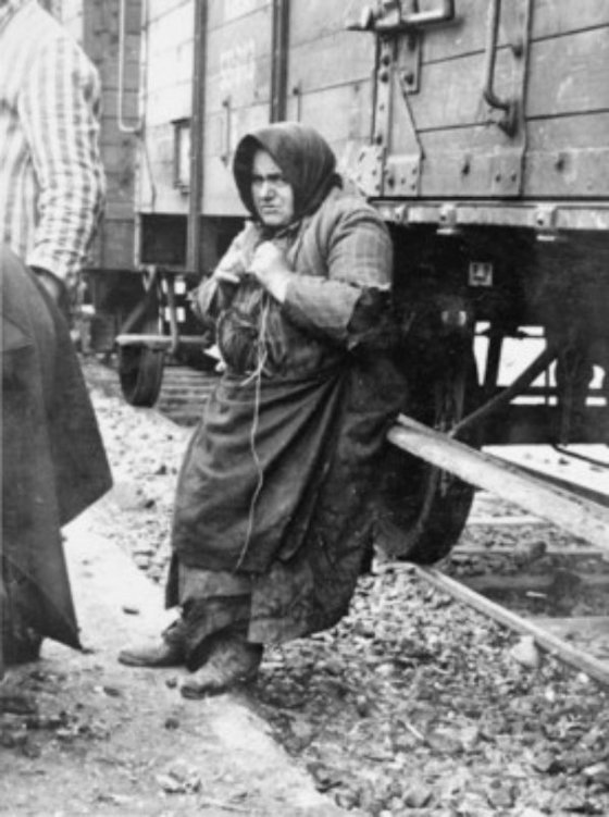 Birkenau Babo Batren una anciana judía de Tecso se apoya en el tren de - photo 12