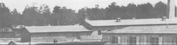Birkenau Crematorio IV 2 Birkenau Fotografía aérea sin fecha - photo 25