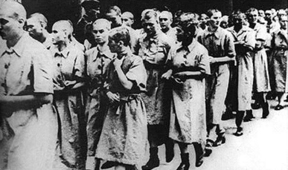 Birkenau Llegada de mujeres a las que se les ha rapado el cabello - photo 31