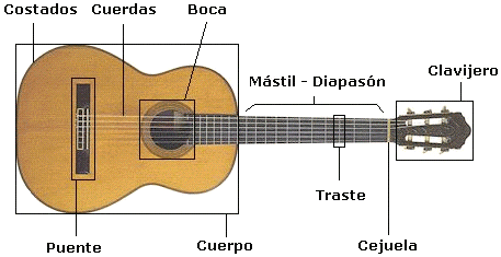 Cuerdas La guitarra consta de seis cuerdas que toman su nombre según el - photo 2