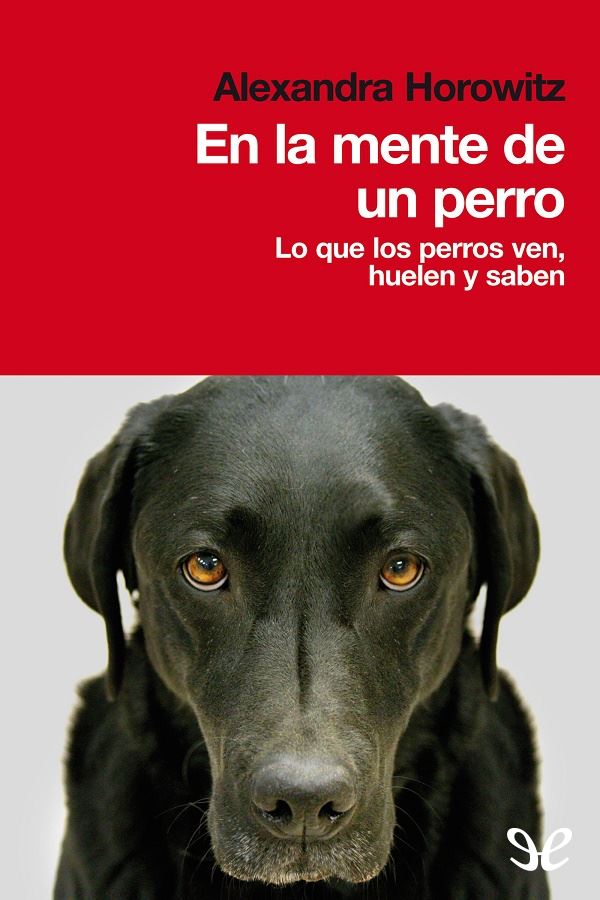 Qué piensan los perros Cómo se relacionan con el mundo que los rodea Cómo - photo 1