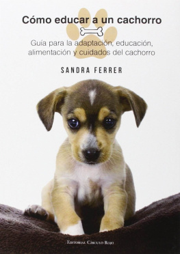 Sandra Ferrer Cómo Educar a un Cachorro: Guía para la adaptación, educación, alimentación y cuidados del perro (Spanish Edition)
