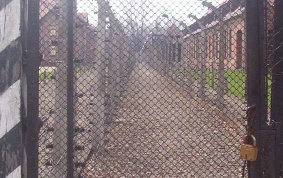 Alambradas divisorias de Auschwitz Fotografía tomada por el autor EL - photo 1