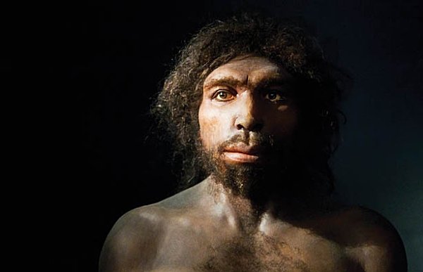 Reconstrucción facial de Homo antecessor De acuerdo con sus descubridores - photo 3