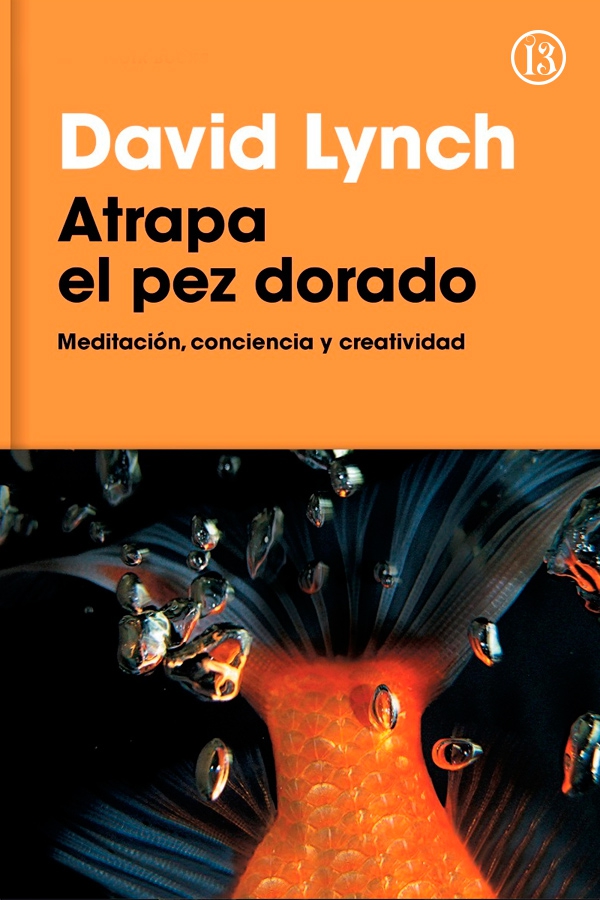 En Atrapa el pez dorado el director de cine David Lynch abre una ventana que - photo 1