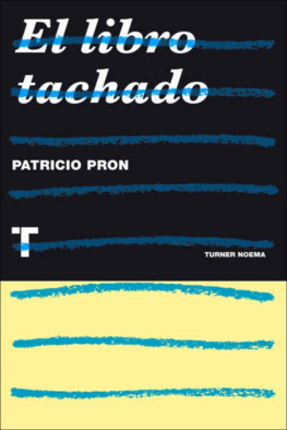 Patricio Pron El libro tachado