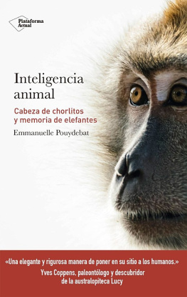 Emmanuelle Pouydebat Inteligencia animal