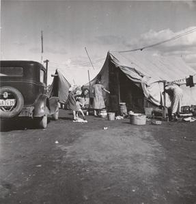 8 Campamento para trabajadores del cítrico valle de San Joaquín 1938 - photo 10