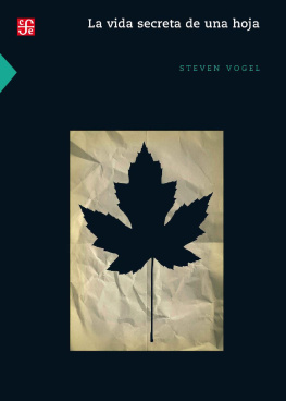 Steven Vogel La vida secreta de una hoja (Ciencia y Tecnologia) (Spanish Edition)