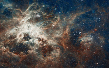 Estrellas y nebulosa de gases En la imagen reciente la Nebulosa Tarantula es - photo 13