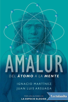Ignacio Martínez - Amalur