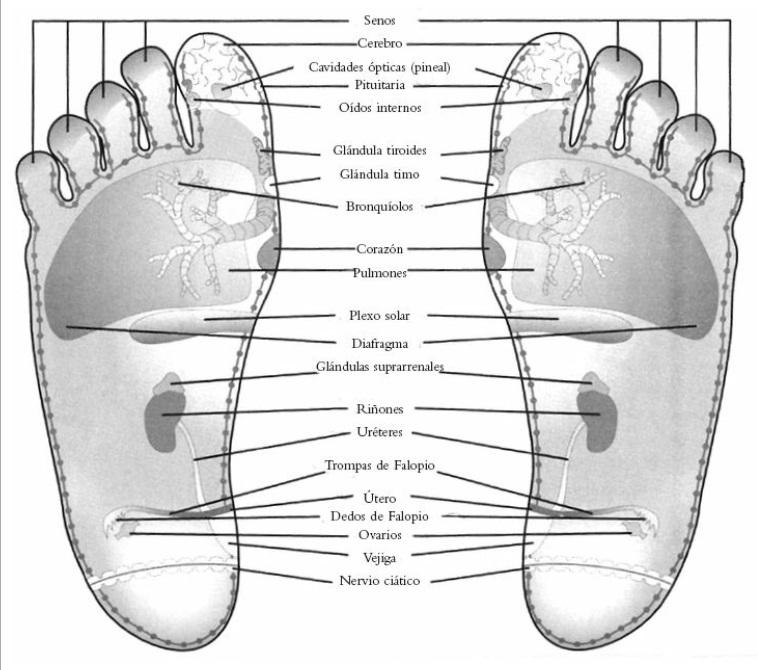 Figura A1 Gráfico del pie 1 Figura A2 Gráfico del pie 2 Figura - photo 1