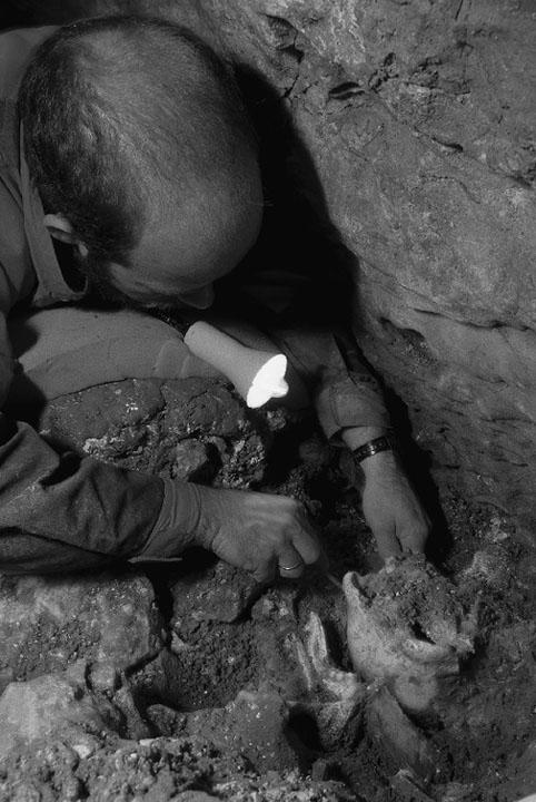 FIGURA 3 Excavando un cráneo de Homo heidelbergensis en la Sima de los Huesos - photo 2