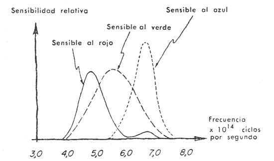 4 Figura 40 Aunque no sabemos con precisión cómo ve el ojo los colores los - photo 4