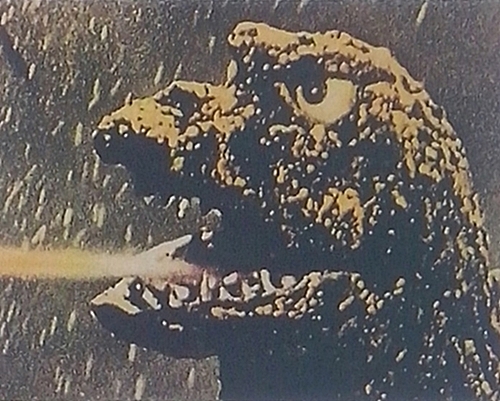 Seguir a Godzilla requiere sus buenas dosis de masoquismo A lo largo de los - photo 4