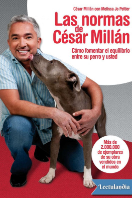 César Millán - Las normas de César Millán