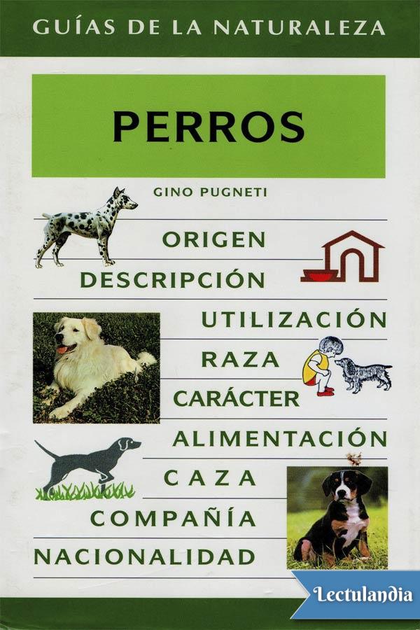 El perro considerado el mejor amigo del hombre es sencillamente descendiente - photo 1