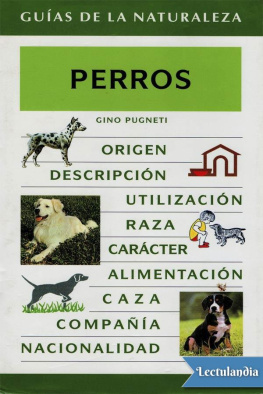 Gino Pugneti - Perros
