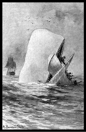 Emili Olcina Melville Moby Dick y el naufragio del Essex Emili Olcina Los - photo 1