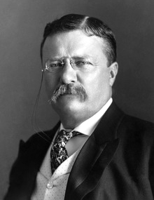 Fotografía de Theodore Roosevelt en 1904 UN JOVEN FRÁGIL CON UN DESTINO - photo 1