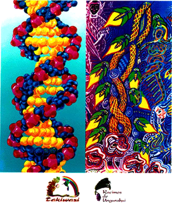 Jeremy Narby La Serpiente cósmica el ADN y los orígenes del saber - photo 1