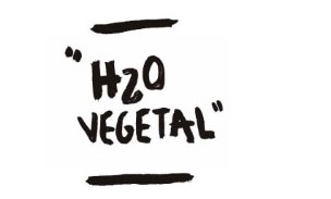 H2O Vegetal es el ejemplo perfecto de un charco de libro una de las mejores - photo 13