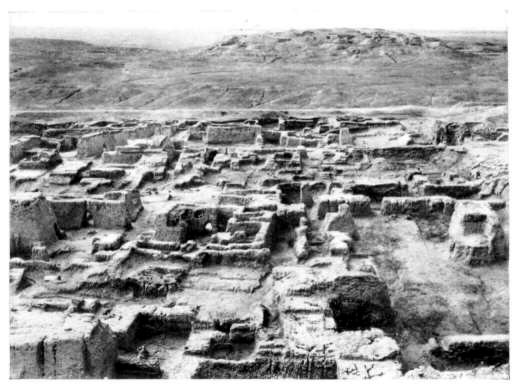 Vista desde lo alto de la ziggurat Eanna de Uruk-Warka sobre una parte del - photo 5