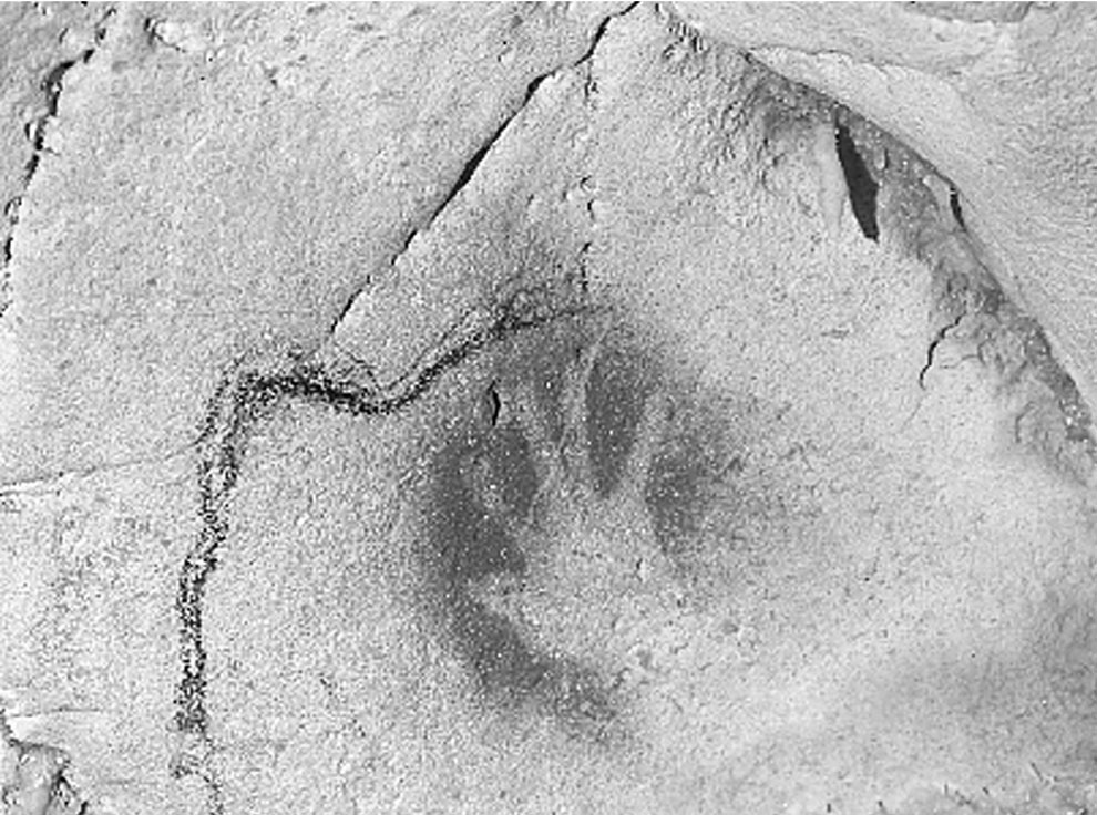 F IGURA 1 Impresión de una mano efectuada hace unos 30000 años en la pared - photo 9