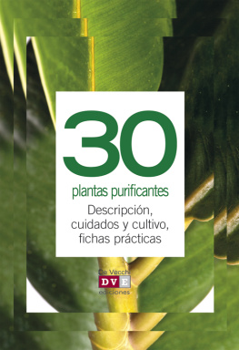 Editorial De Vecchi 30 plantas purificantes