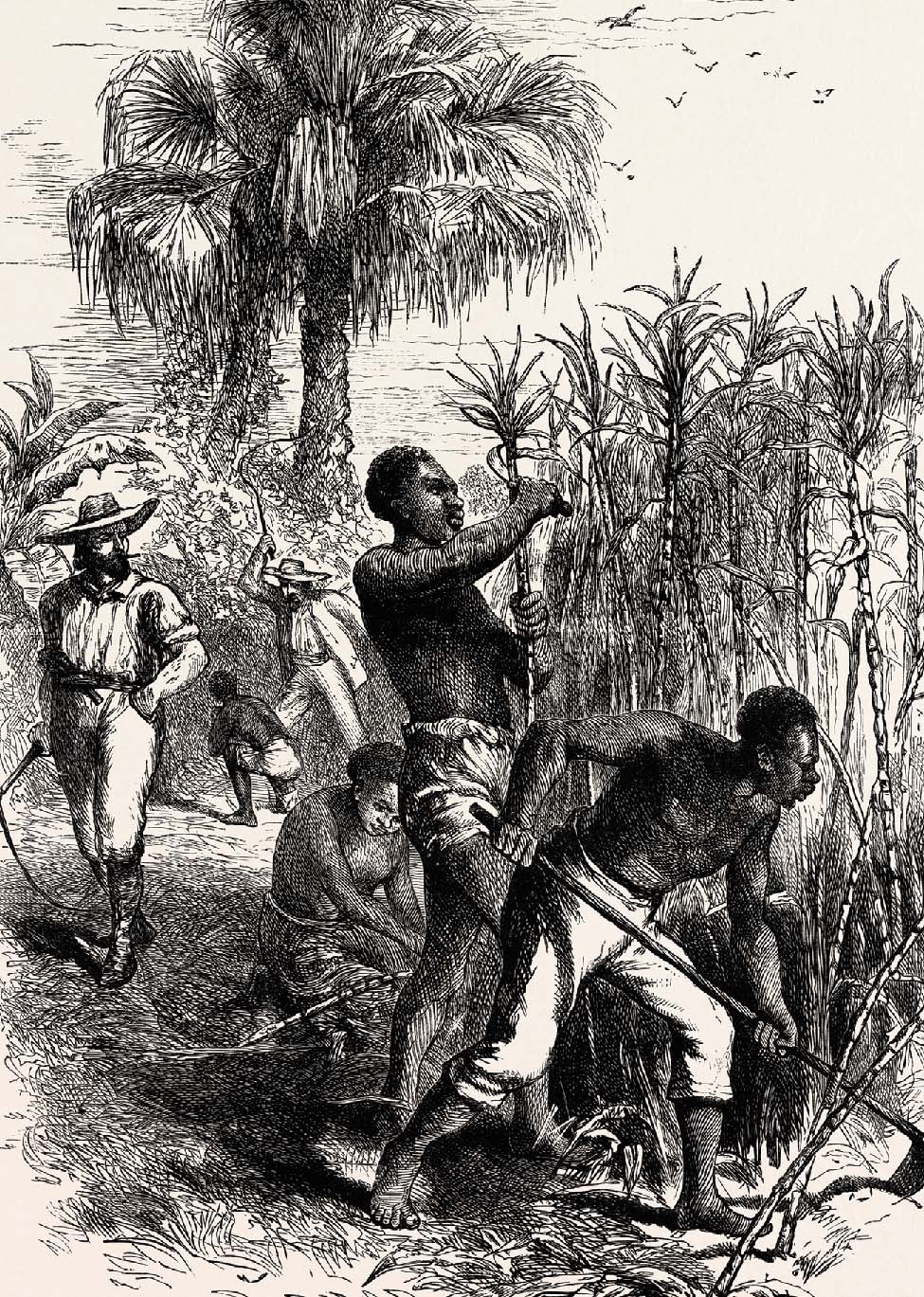 SI QUIERES SABER MÁS Algunos delegados del Norte querían prohibir la esclavitud - photo 7