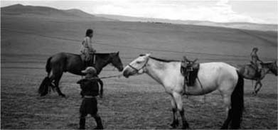 Niños mongoles ejercitándose en la monta del caballo La información recogida - photo 2