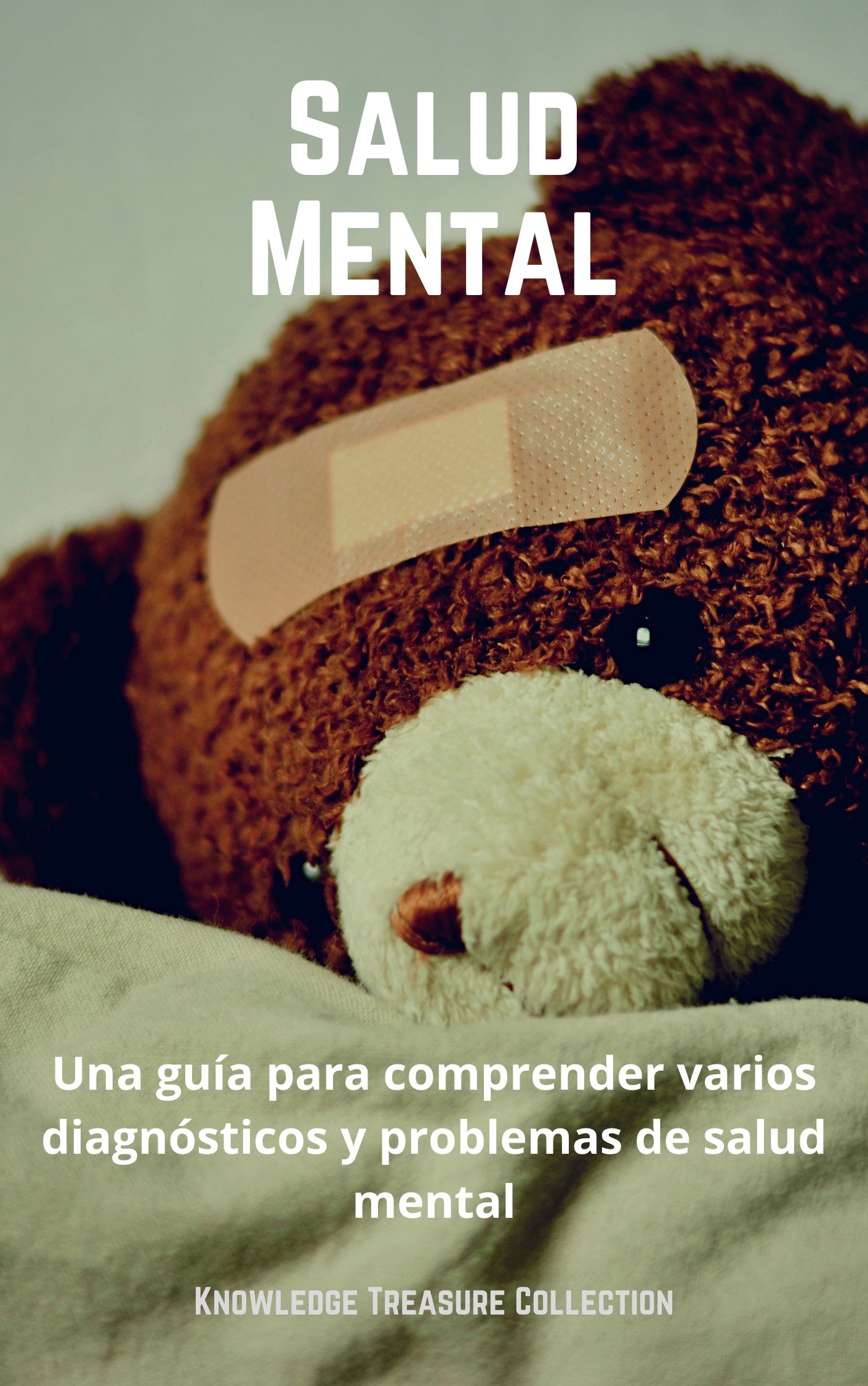 Salud Mental Una guía para comprender varios diagnósticos y problemas de salud - photo 1