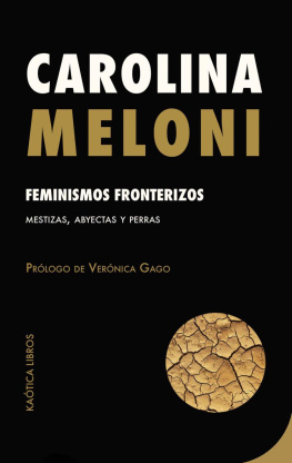 Carolina Meloni Feminismos fronterizos: Mestizas, abyectas y perras (Spanish Edition)