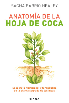Sacha Barrio Anatomía de la hoja de coca