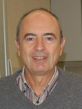ALBERTO PÉREZ IZQUIERDO es catedrático de Electromagnetismo en la Universidad - photo 1